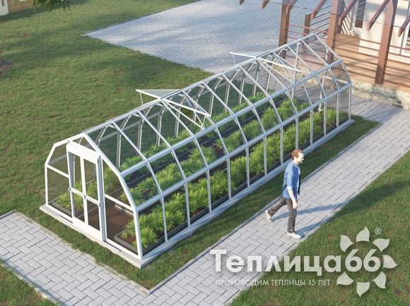 Теплица Рада Нева под стекло, 2,65х8 метров, белая