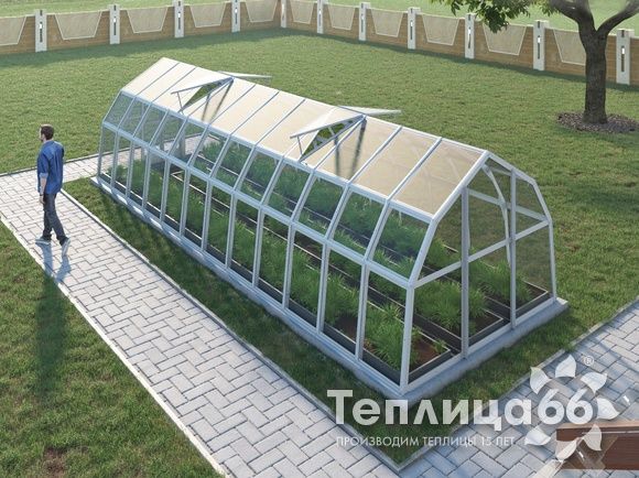 Теплица Рада Нева под стекло, 2,65х8 метров, белая