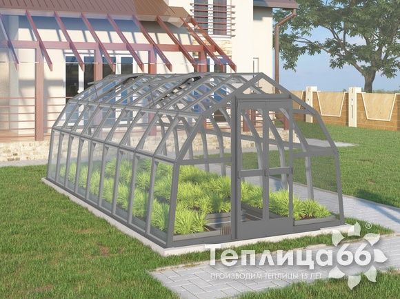 Теплица Рада Нева под стекло, 2,65х6 метров, графитовая