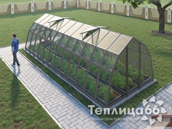 Теплица Рада Волга под стекло, 3х8 метров, графитовая