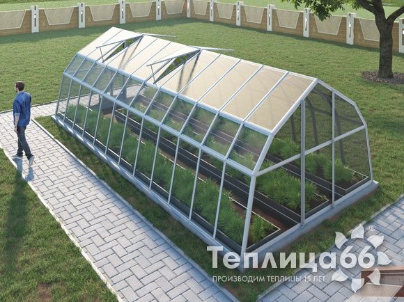 Теплица Рада Дунай под стекло, 3,5х8 метра, белая