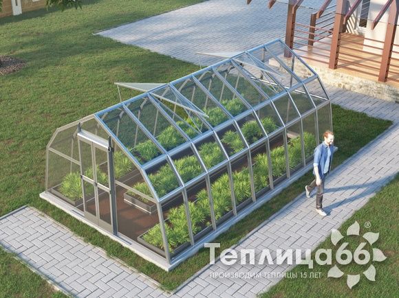 Теплица Рада Дунай под стекло, 3,5х6 метров