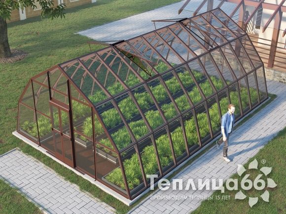 Теплица Рада Амазонка под стекло, 5х8 метров, коричневая