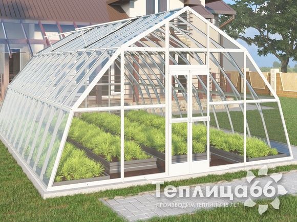 Теплица Рада Амазонка под стекло, 5х8 метров, белая