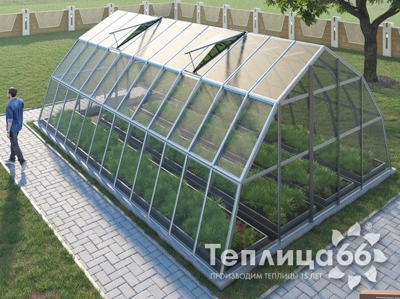 Теплица Рада Амазонка под стекло, 5х8 метров