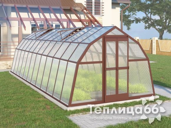 Теплица Рада Байкал из поликарбоната, 3x8 метров, коричневая