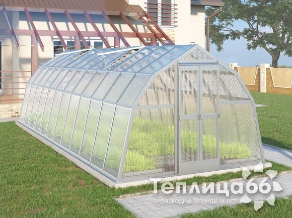 Теплица Рада Байкал из поликарбоната, 3x8 метров