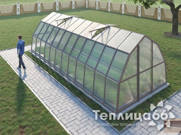 Теплица Рада Рица из поликарбоната, 3x8 метров, графитовая
