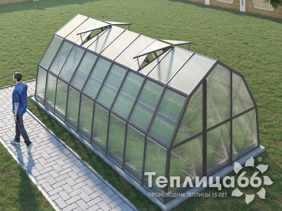 Теплица Рада Рица из поликарбоната, 3x6 метров, графитовая